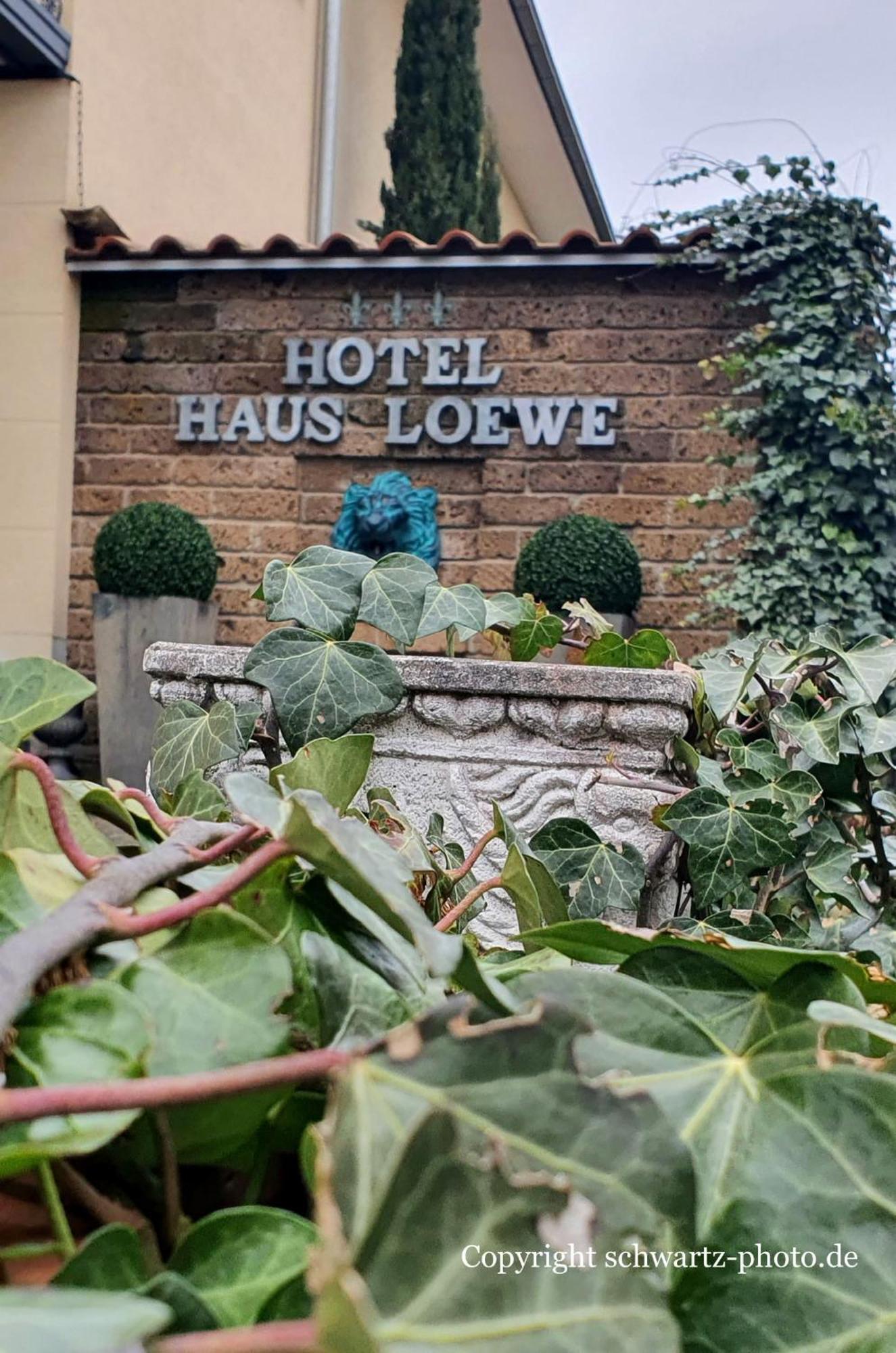 Hotel Haus Loewe Фрехен Экстерьер фото